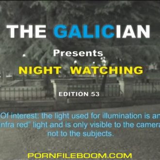 videospublicsex.com The Galician Night 53 2016, Voyeur